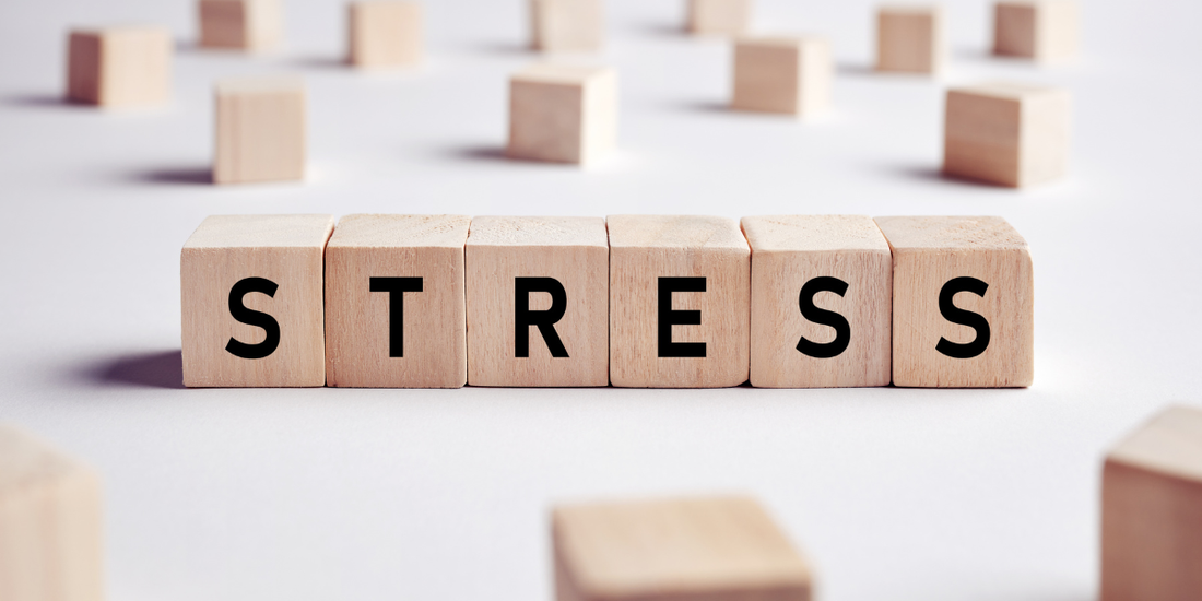 The Brain-Skin Axis: Unmasking the Invisible Stressors Triggering Modern Psoriasis