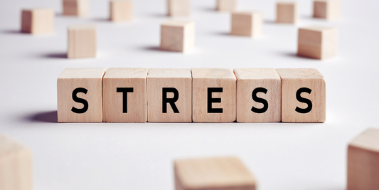 The Brain-Skin Axis: Unmasking the Invisible Stressors Triggering Modern Psoriasis